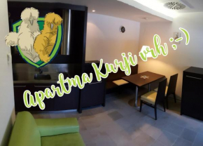 Apartma Kurji vrh - Chicken top Kranjska Gora